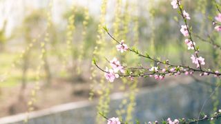 anunt ANM meteo prognoza vremea azi