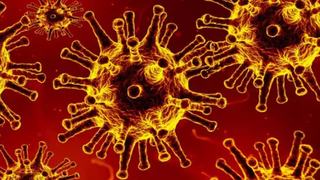 Bilanț coronavirus România 28 martie 2021: Alte 4.439 cazuri noi de COVID-19. Care este situația în Capitală?