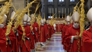 Papa Francisc a oficiat slujba de Florii la Bazilica Sf&acirc;ntul Petru