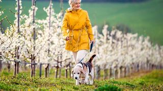Cum va fi vremea în luna aprilie. Prognoza ANM pe două săptămâni