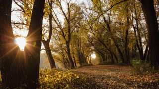 Prognoza meteo, azi 31 martie 2021. Vreme frumoasă, temperaturi de aproape 20 de grade