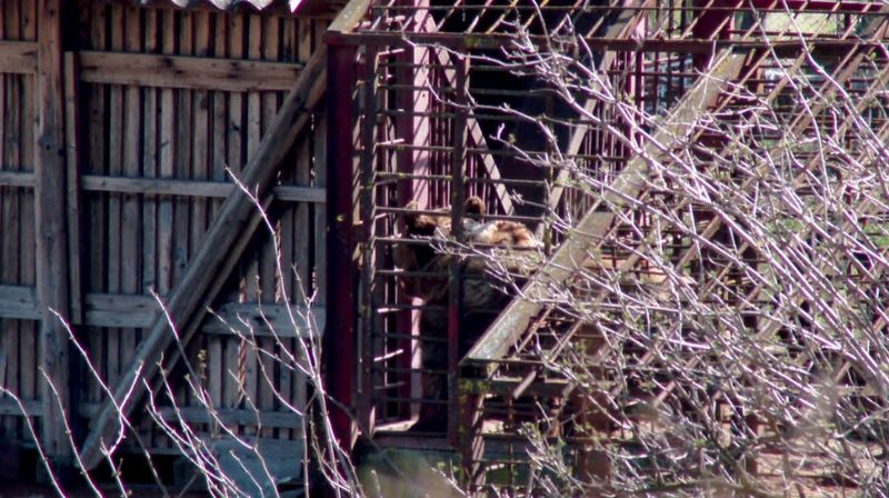 emisiunea asta-i România 4 aprilie 2021