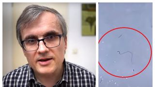 Viermi în masca de protecție? Fizicianul Cristian Presură a reluat experimentul - VIDEO