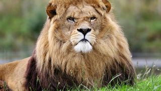 Horoscop 7 aprilie 2021. Va fi o zi plină de răsfăț pentru două zodii