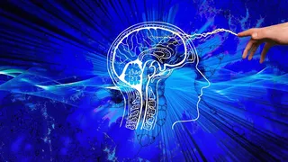 VIDEO - Minte ascuțită și memorie de elefant, totul stă &icirc;n alimentație