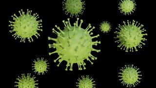 cazuri coronavirus &icirc;n lume