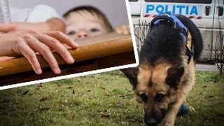 VIDEO-Adolescent abuzat care a fugit, căutat ore &icirc;ntregi de autorități