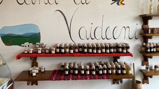 roventura s&acirc;mbătă kanal d