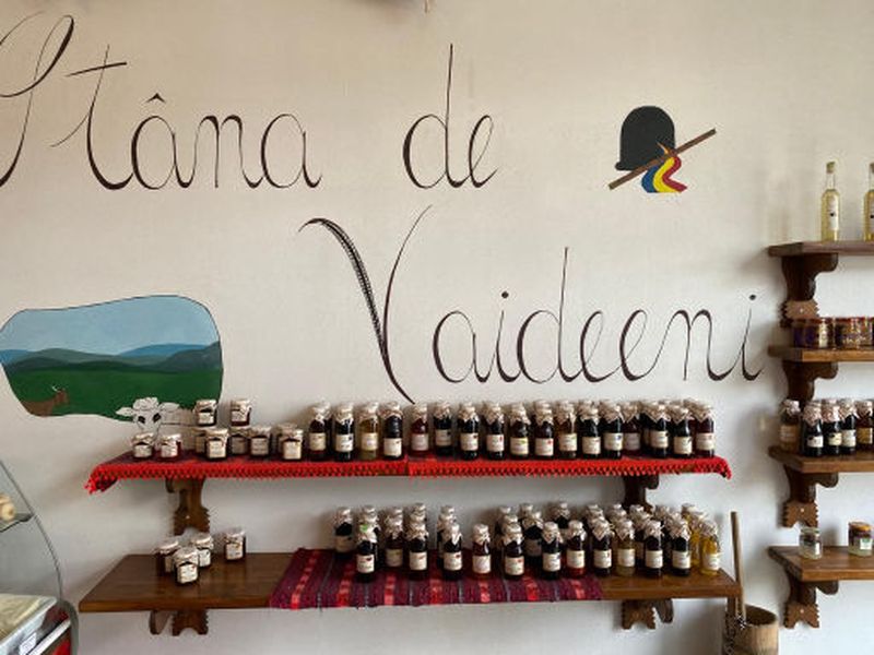 roventura sâmbătă kanal d