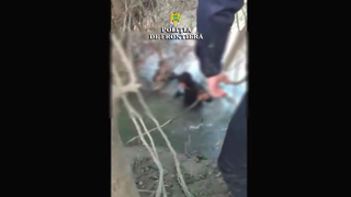 Poliţiştii de frontieră au intervenit pentru salvarea a doi cetăţeni afgani, din apele r&acirc;ului Timiş