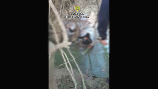 Poliţiştii de frontieră au intervenit pentru salvarea a doi cetăţeni afgani, din apele r&acirc;ului Timiş