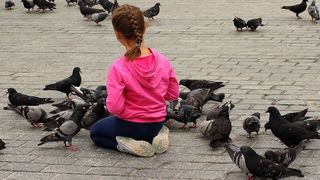 VIDEO - Propunere pentru porumbeii din Timișoara - fără hrană de la trecători