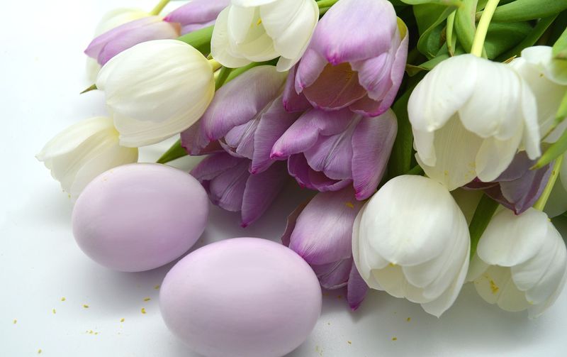 Cum să vopsesti natural ouăle de Paște. Trucul pentru un luciu perfect