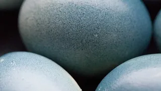 Cum să vopsesti natural ouăle de Paște. Trucul pentru un luciu perfect