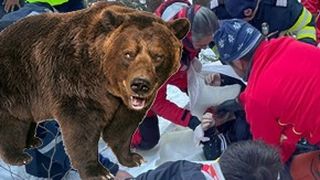 VIDEO-O ursoaică l-a ucis pe tânărul sportiv care căuta coarne de cerb