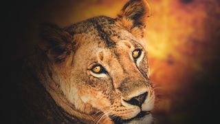 Horoscop 15 aprilie 2021. Zodia care trăiește o nouă poveste de iubire