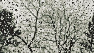 Prognoza METEO pentru vineri, 16 aprilie 2021. Vremea se răcește &icirc;n mai multe zone din țară