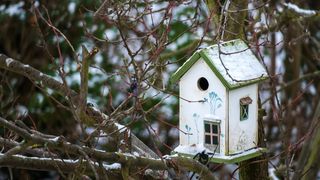 VIDEO - Unul dintre puținii sculptori cu drujba face căsuțe pentru păsări