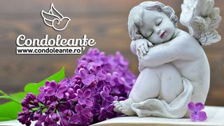 Vezi cum poți alege simplu și ușor firme de tradiție în construcții și amenajări monumente funerare deosebite!