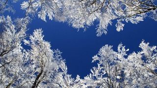 Surprize legate de vremea de Florii și Paște. Prognoza meteo pe 4 săptămâni