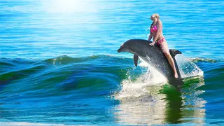 VIDEO - Înot cu delfinii în Antalya într-un faimos parc de distracții