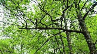 Prognoza meteo ANM pentru weekend. Vremea e capricioasă în continuare