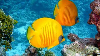 horoscop luni 19 aprilie 2021