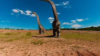 VIDEO - Dinozaur preistoric înalt de 11 metri, expus în parcul de la Râșnov