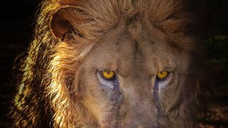 Horoscop 20 aprilie 2021. O zi plină de succes pentru două zodii