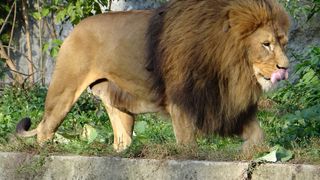 Horoscop 21 aprilie 2021. Zodia care are mare noroc &icirc;n dragoste