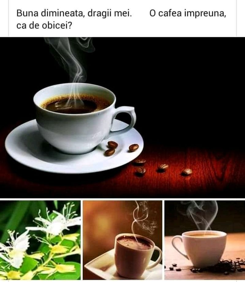 cafeluta-de-dimineata-imagini