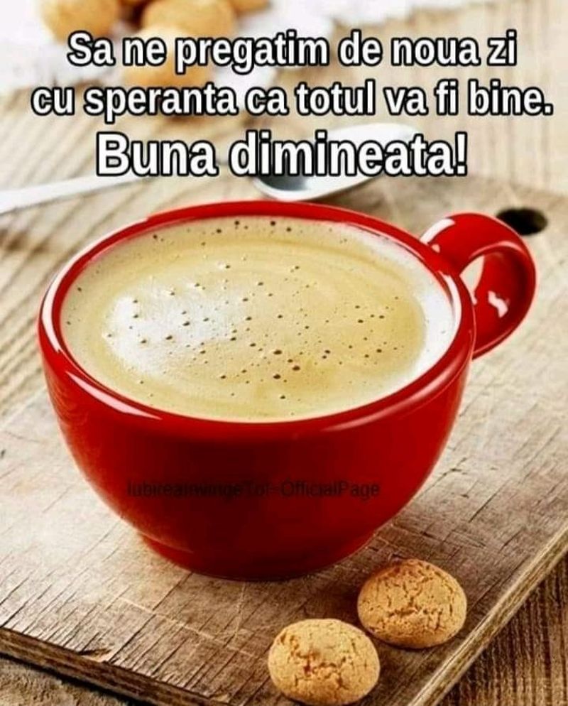 cafeluta-de-dimineata-imagini