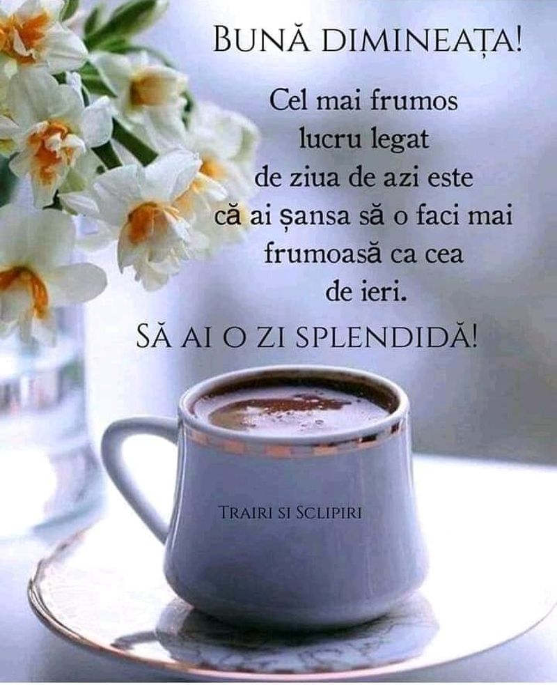 cafeluta-de-dimineata-imagini