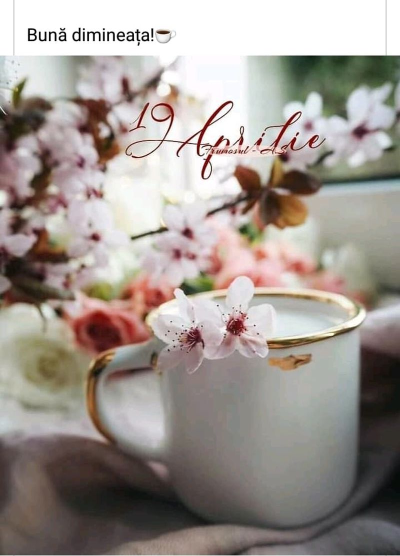 cafeluta-de-dimineata-imagini