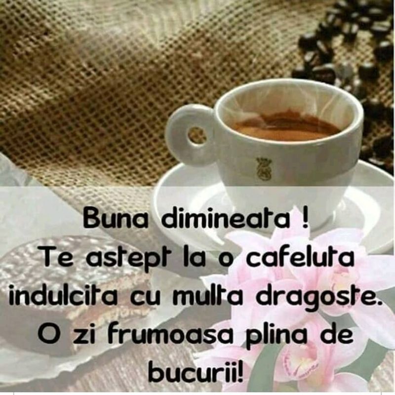 cafeluta-de-dimineata-imagini
