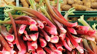 Ce este rubarba şi la ce se folosește. 5 rețete delicioase din rubarba