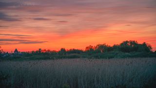 Norul de praf saharian a ajuns în România. Care sunt efectele asupra sănătății