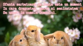 Cele mai frumoase mesaje și feliciări de Paște. Idei de urări pentru apropiați