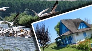 VIDEO -Delta Dunării s-a dovedit a fi un &bdquo;refugiu&rdquo; cu pensiunile pline