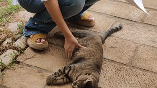 sofia studenta la moscova a murit în accident