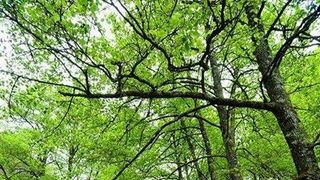 Prognoza meteo de la ANM. Cum va fi vremea &icirc;n următoarele două săptăm&acirc;ni