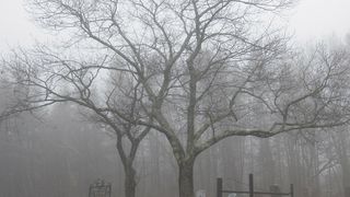 Zeci de cadavre ale unor morți de Sars-Cov-2 au fost descoperite pe malul apei