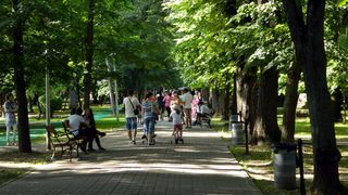 VIDEO | Prima zi de libertate