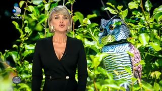 BUFNIȚA, SOLUȚIA &Icirc;MPOTRIVA CIORILOR