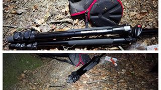 Turist străin, găsit spânzurat într-o pădure de lângă Bușteni