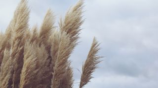 vânt puternic în România