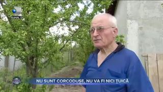 NU SUNT CORCODUȘE, NU VA FI NICI ȚUICĂ