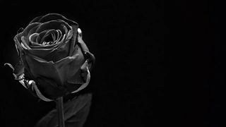 doliu a murit charles grodin