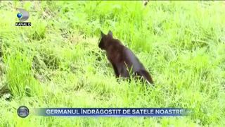 GERMANUL &Icirc;NDRĂGOSTIT DE SATELE NOASTRE