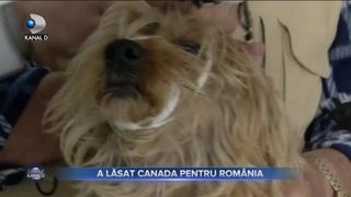 VIDEO - Pandemia a adus acasă peste un milion de români plecați în străinătate